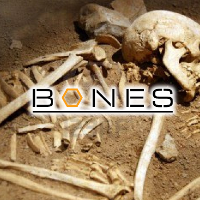BONES／ボーンズ ～骨は語る～ | 原題 - Bones