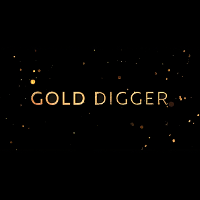 ゴールド・ディガー ～疑惑 年下の男 | 原題 - Gold Digger