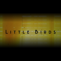 Little Birds | 原題 - Little Birds