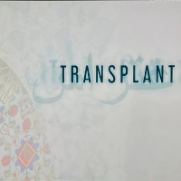 トランスプラント 戦場から来た救命医 | 原題 - Transplant