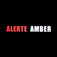 アンバーアラート 失踪者特捜班 | 原題 - Amber Alert