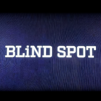 モニター 監視員ハンナの捜査室 | 原題 - Blind Spot