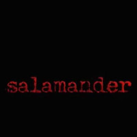 警部ジェラルディ 孤高のブリュッセル捜査線 | 原題 - Salamander