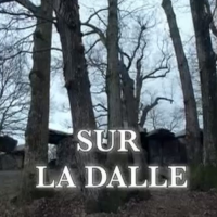 刑事アダムスベルグ | 原題 - Sur la Dalle（Beyond The Grave）